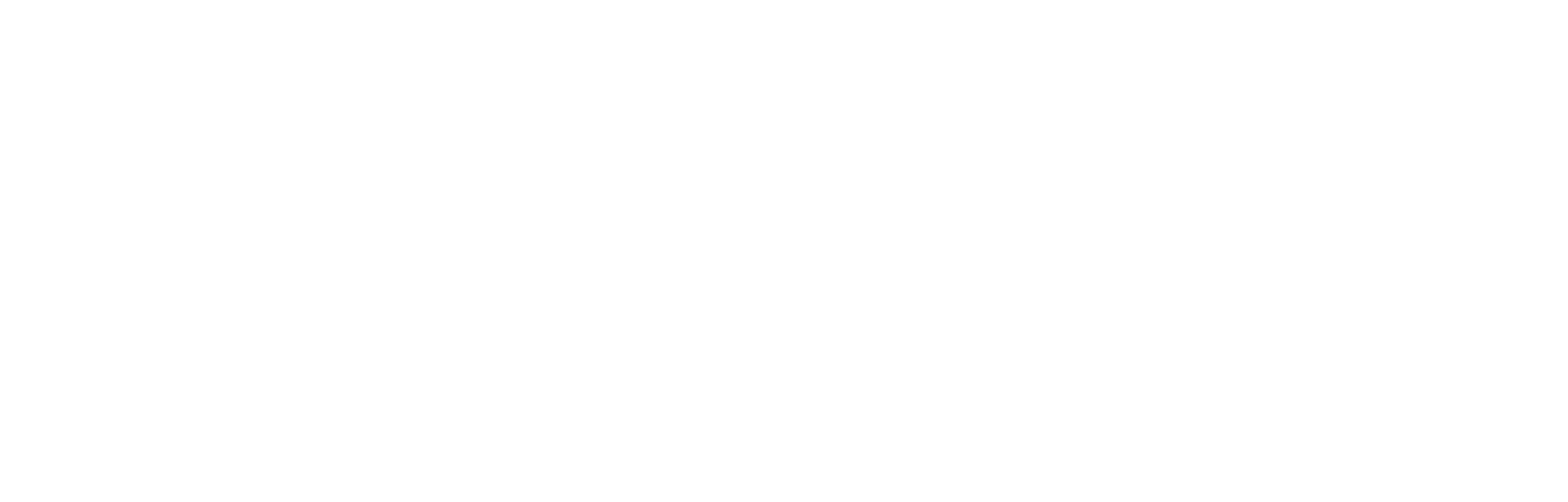 aydın halı yıkama son